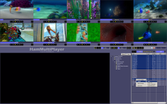 HamMultiPlayer_Spread