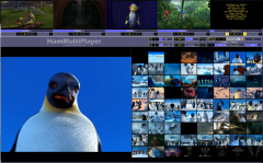 HamMultiPlayer_ThumbAndView
